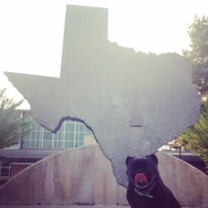 Profile photo of Kimberly Reinhardt